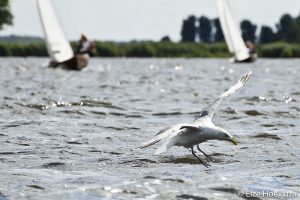 Sneekweek, donderdag – foto 89 van 93