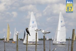 Woensdag – foto 11 van 73