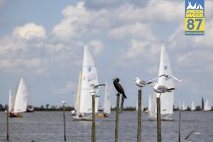 Woensdag – foto 12 van 73