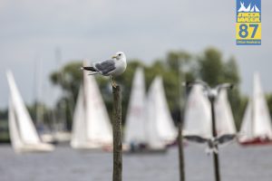 Woensdag – foto 14 van 73